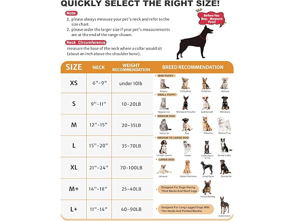 Dog Cone Collar for Small Medium Large Dogs