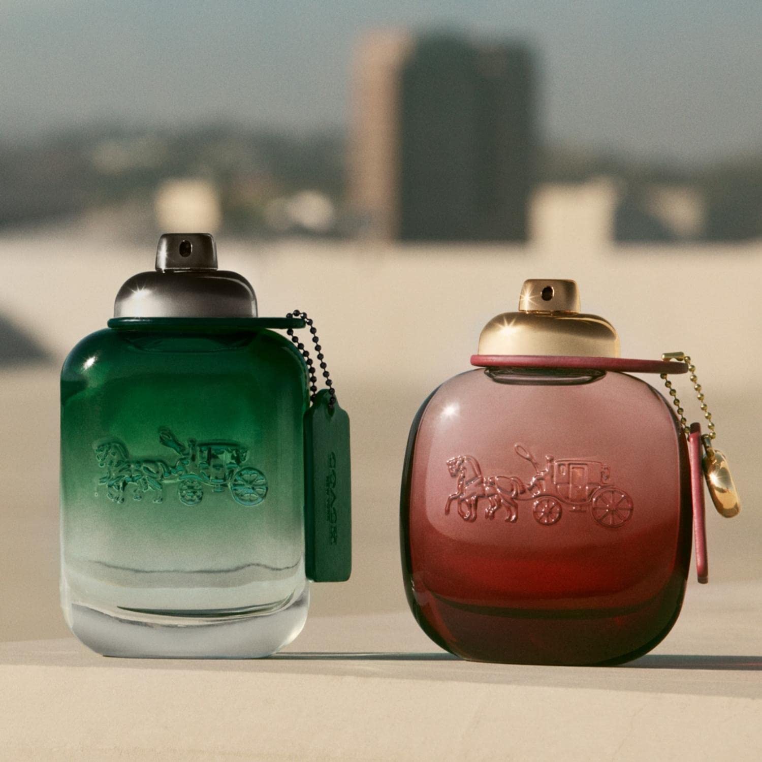 Coach Wild Rose Eau de Parfum Spray - Choose Size - Gallery 13