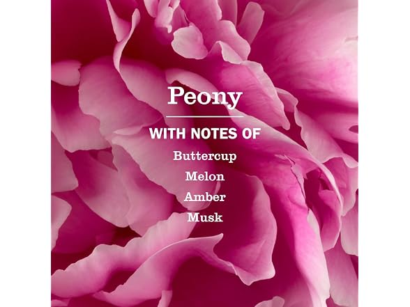 Mrs. MEYER'S Peony CLEAN DAY Hand