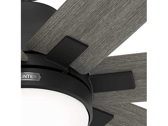 Hunter Fan 60" w/ Light Kit and 7-Blades