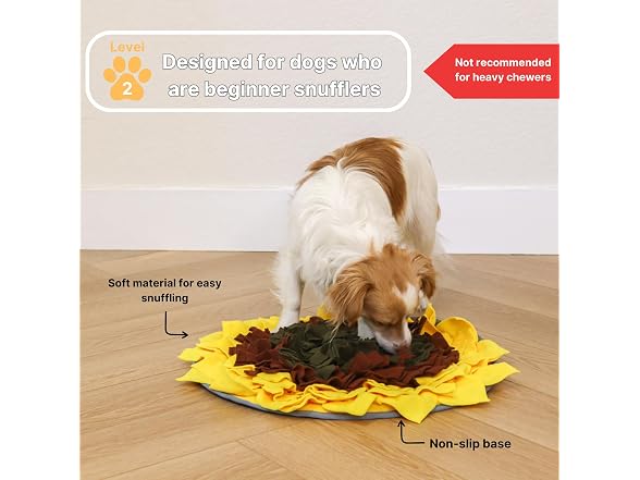 Injoya Sunflower Snuffle Mat for Dogs - 19" x