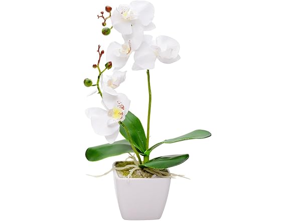 Restaurantware Faux Fiore White Orchid