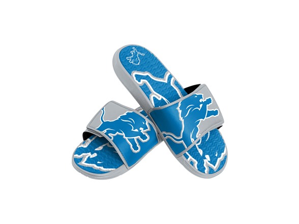 Colorblock Big Logo Detroit Lions