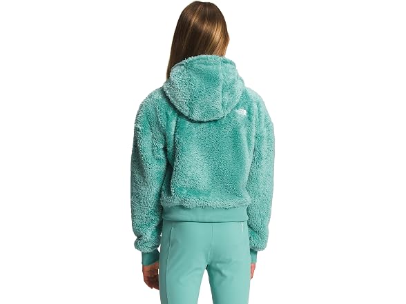 The North Face (L) Suave Oso Full Zip Jacket