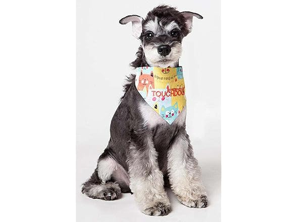 Touchdog ® 'Head-Popper' Pet Bandana