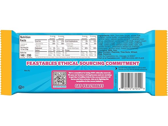 Feastables Caramel Choc Bar 10ct 2.1oz