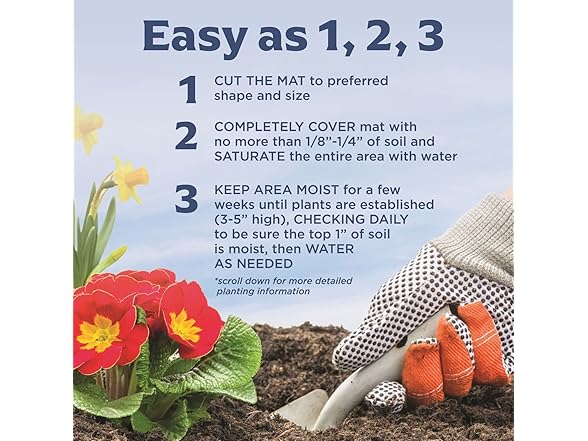 BloomingBulb Butterfly Garden Seed Mat