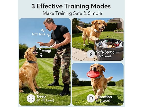 Delupet W0568 Dog Shock Collar 2 Dogs