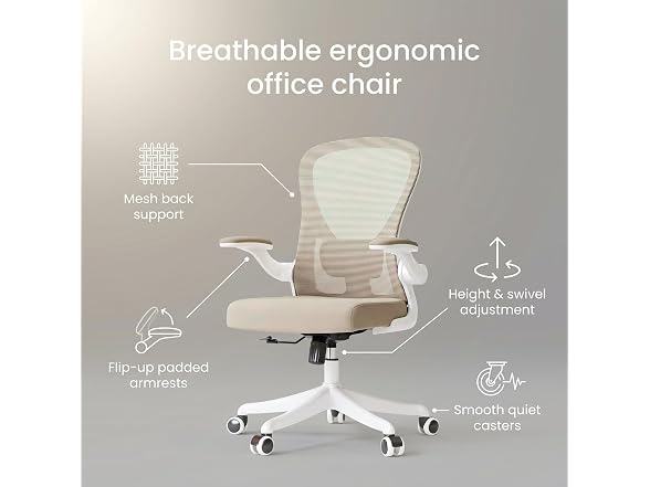 Ergonomic Office Desk Chair High Back