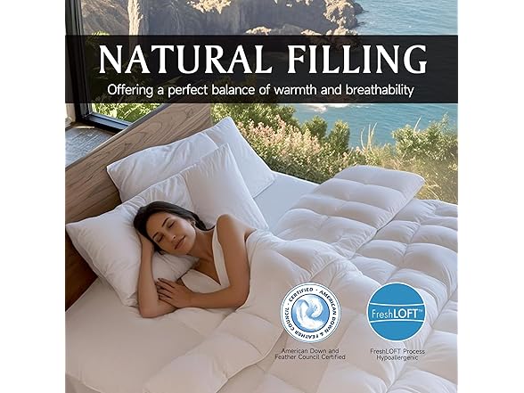 Beautyrest Luxury 100% Cotton Comforter