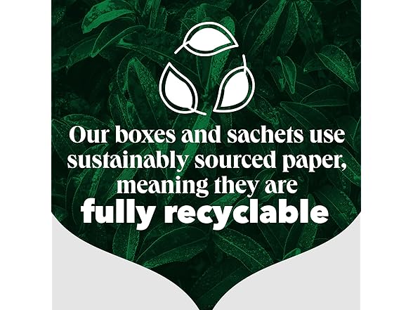 80CT PG Tips Original Non-Pyramid Black Tea Bags