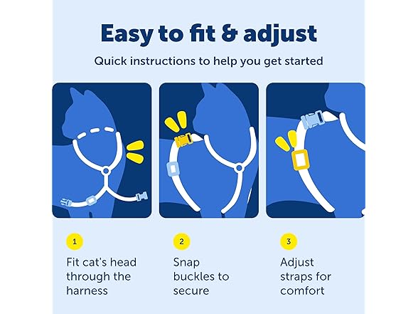 PetSafe Come With Me Kitty Harness and Bungee Leash