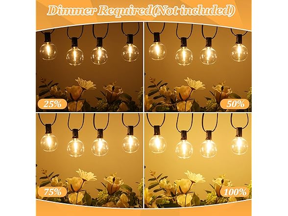 Bosceos 100FT Outdoor G40 String Lights