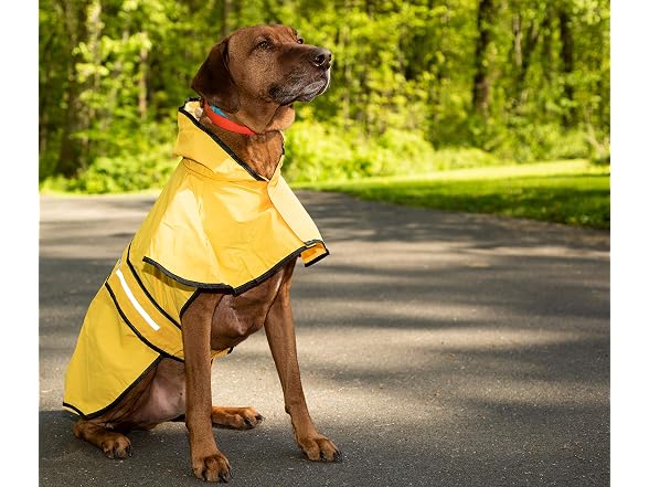 Fashion Pet SPOT Rainy Days Slicker