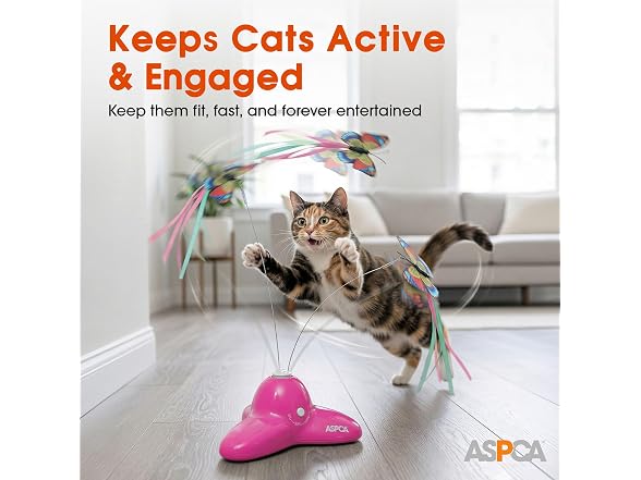 ASPCA Interactive Butterfly Cat Toy, Automatic Cat Toy