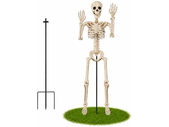 Anrtrog 36" Halloween Skeleton W/ Stand
