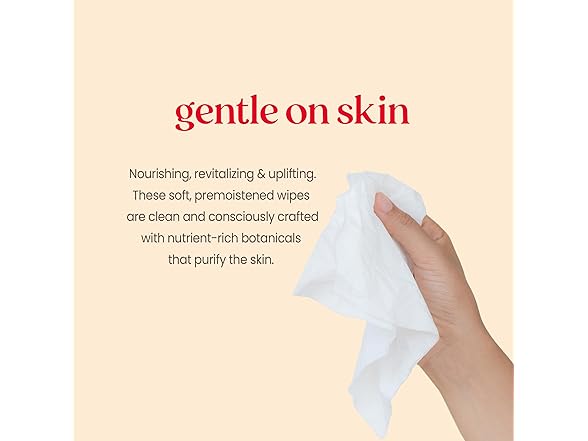 Burt’s Bees Purifying White Tea Facial Towelettes