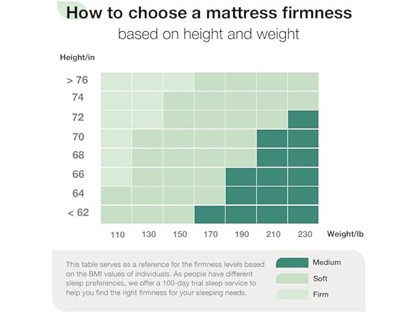 Novilla Full 12" Foam Mattress