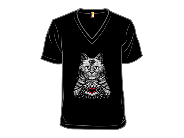 American Shorthair True Affection - Gallery 3