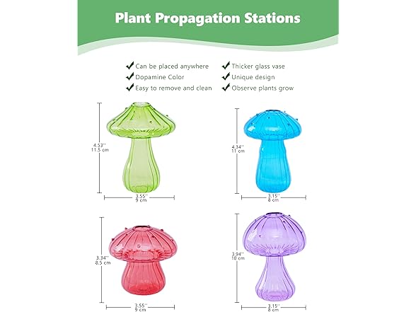 4 Pack Mushroom Glass Plant Terrarium