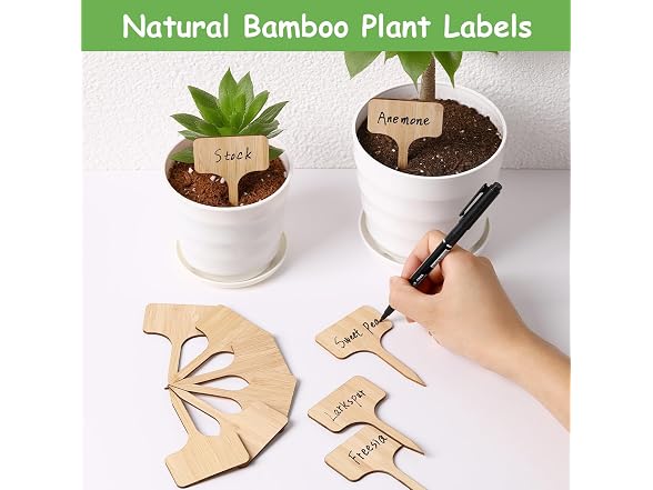 CJFocus GAR-07 (2 Pack) 75Pcs Bamboo Plant Labels