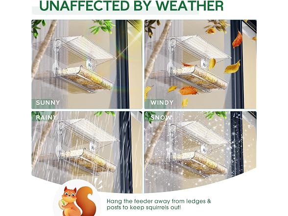Clear Window Bird Feeder
