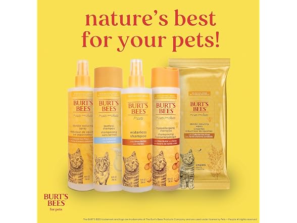 Burt's Bees for Pets Waterless Cat Shampoo, 6-Pack