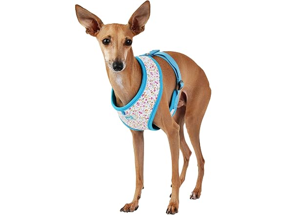 Puppia Wildflower Harness A - Sky Blue - M