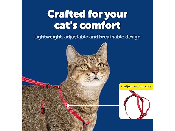 PetSafe Come With Me Kitty Harness and Bungee Leash