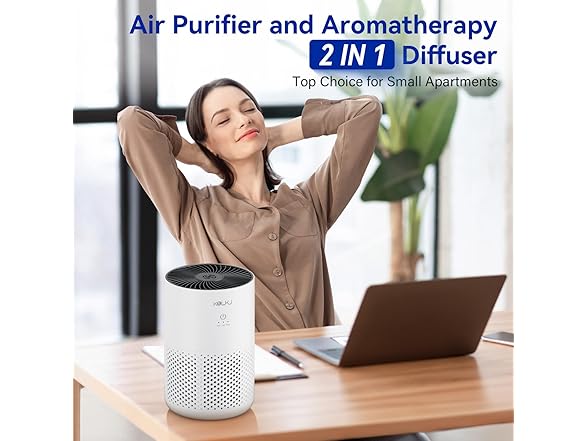 KQLKJ Air Purifier