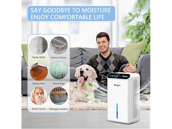 boglvr Dehumidifier 1000 Sq.Ft