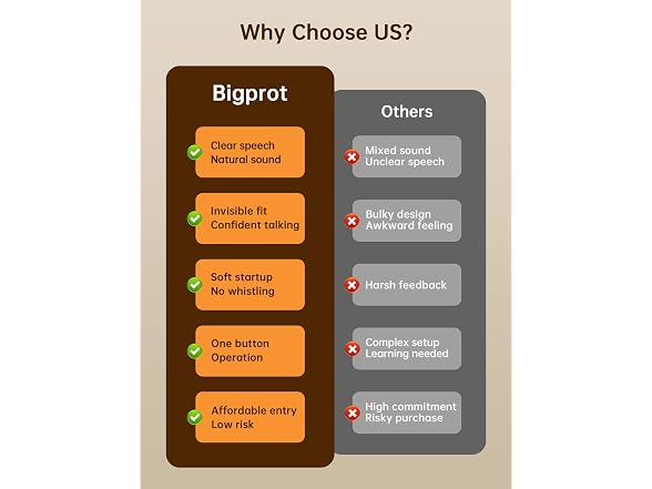 Bigprot Rechargeable OTC Hearing Aids
