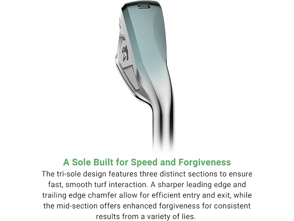 Callaway Golf Elyte Max Fast Individual Iron