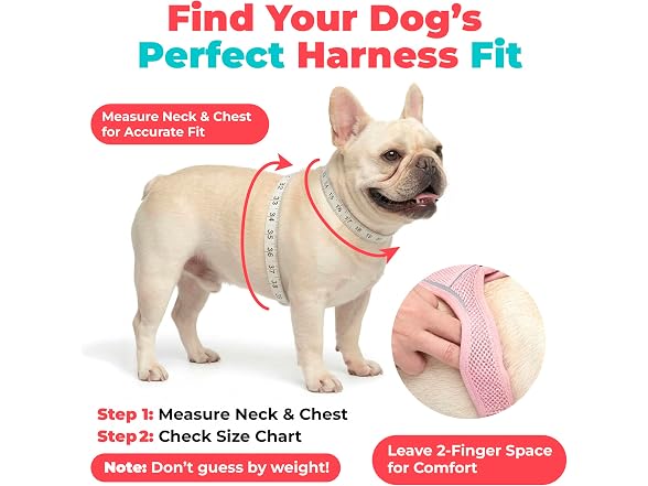 Voyager Step-in Air Dog Vest Harness Turquoi