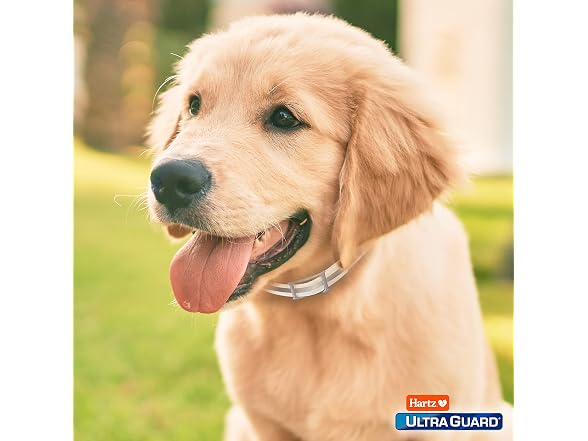 UltraGuard Reflecting Flea & Tick Collar for Dogs