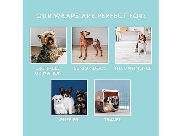 Simple Solution Disposable Male Wraps