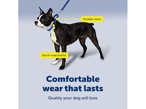PetSafe Martingale Quick-Snap Dog Collar, Re
