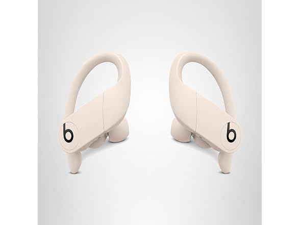 Beats Beats Powerbeats Pro Wireless Earbuds -