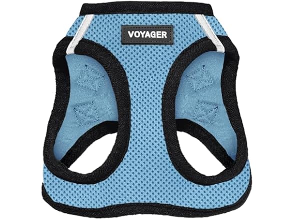 Baby Blue/Black Trim