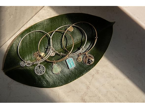 Alex Ani Path of Life Bangle