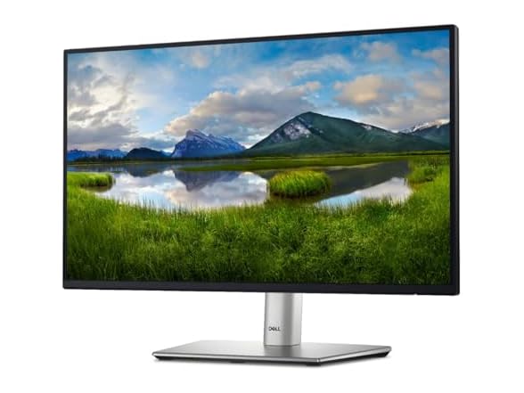 Dell P2225H 22" Class Full HD LED Monitor