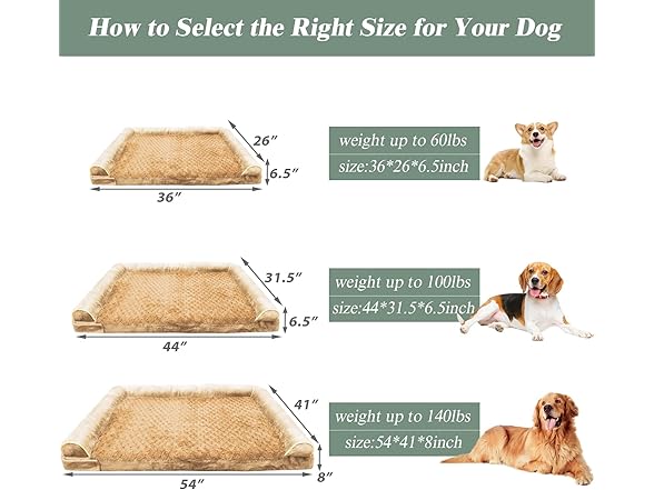 Orthopedic Dog Bed, Extra Large with Memory Foam