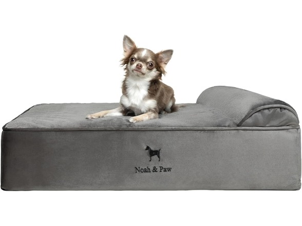 NOAH & PAW Orthopedic Dog Beds- Medium