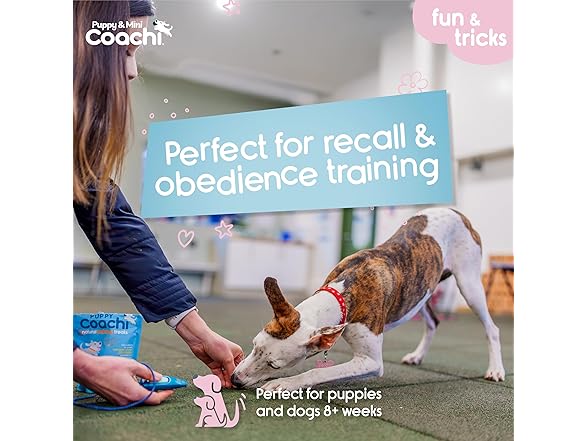 2-in-1 Combined Clicker and Whistle