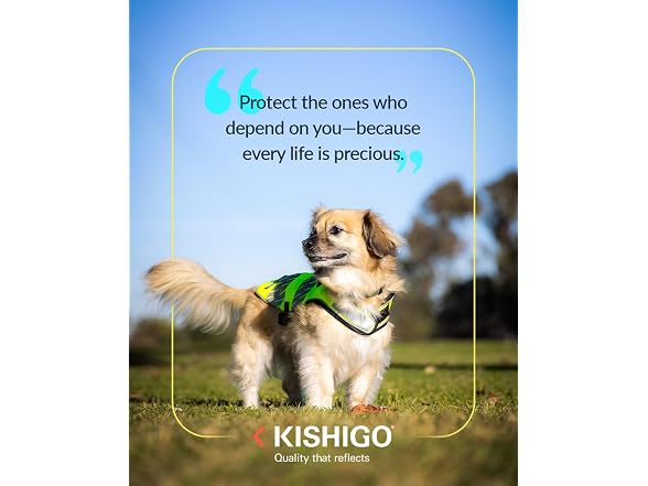 Reflective Dog Safety Vest Lime Medium