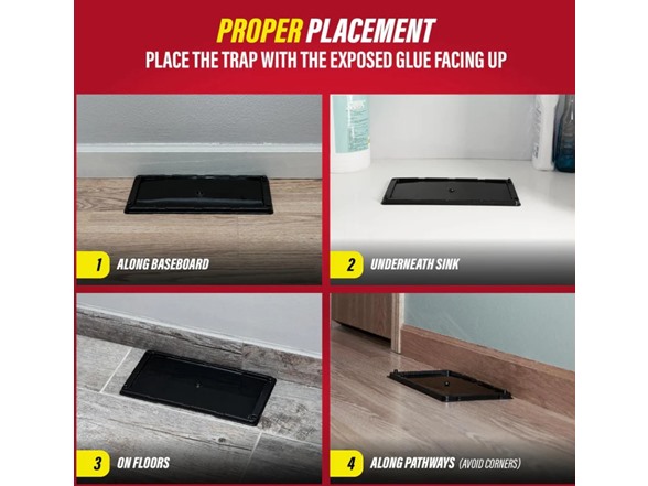 Hakol 10PK Large Glue Traps Rats, Mice, Snakes & Crawling Insects