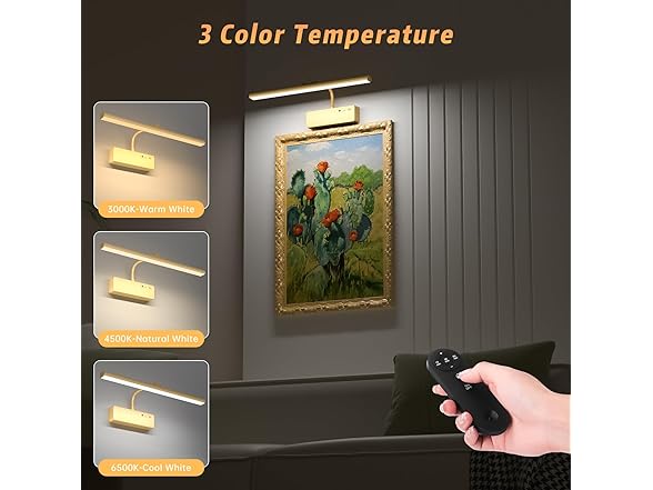 Lightbiz Picture Light for Wall