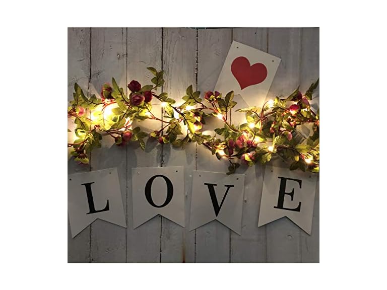 Fielegen 20 LED Rose Flower String Lights - 7.2ft