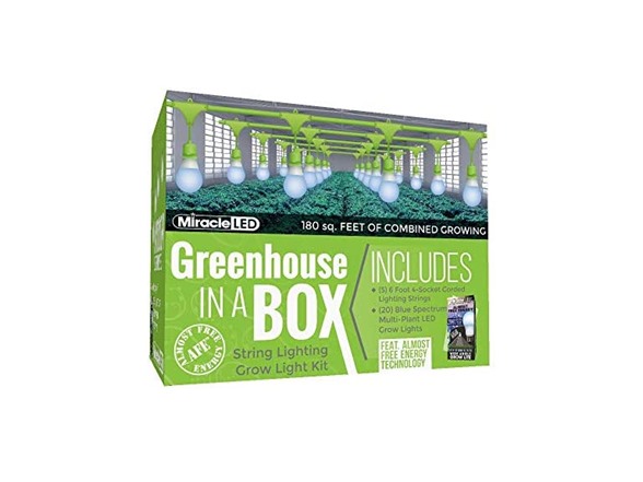 Blue 11-Watt (5-Pack)