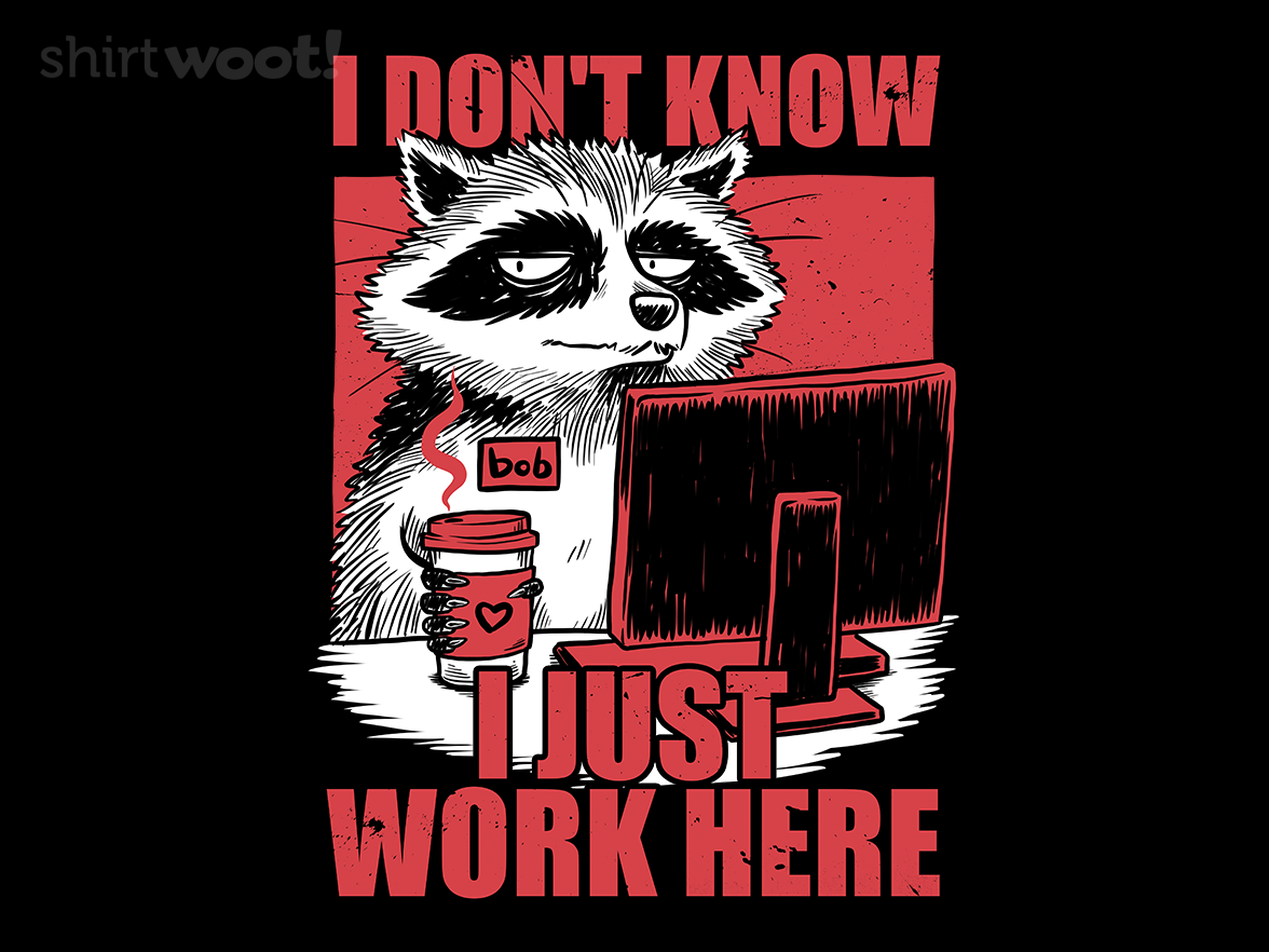 Raccoon Tired Work - Gallery 9